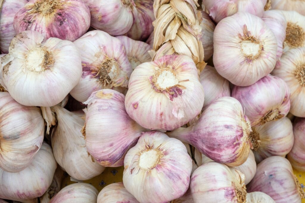 A vibrant close-up of fresh garlic bulbs, showcasing their texture and color.
